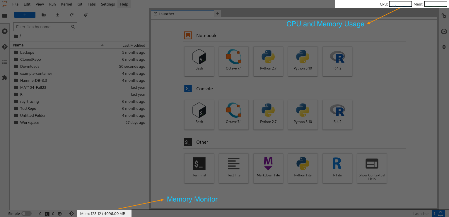 JupyterHub Resource Monitor